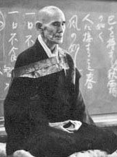 Chiroyli qizlarning mushuklarining yaqindan olingan fotosuratlari