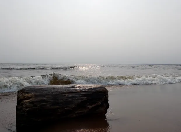 Old Log Series