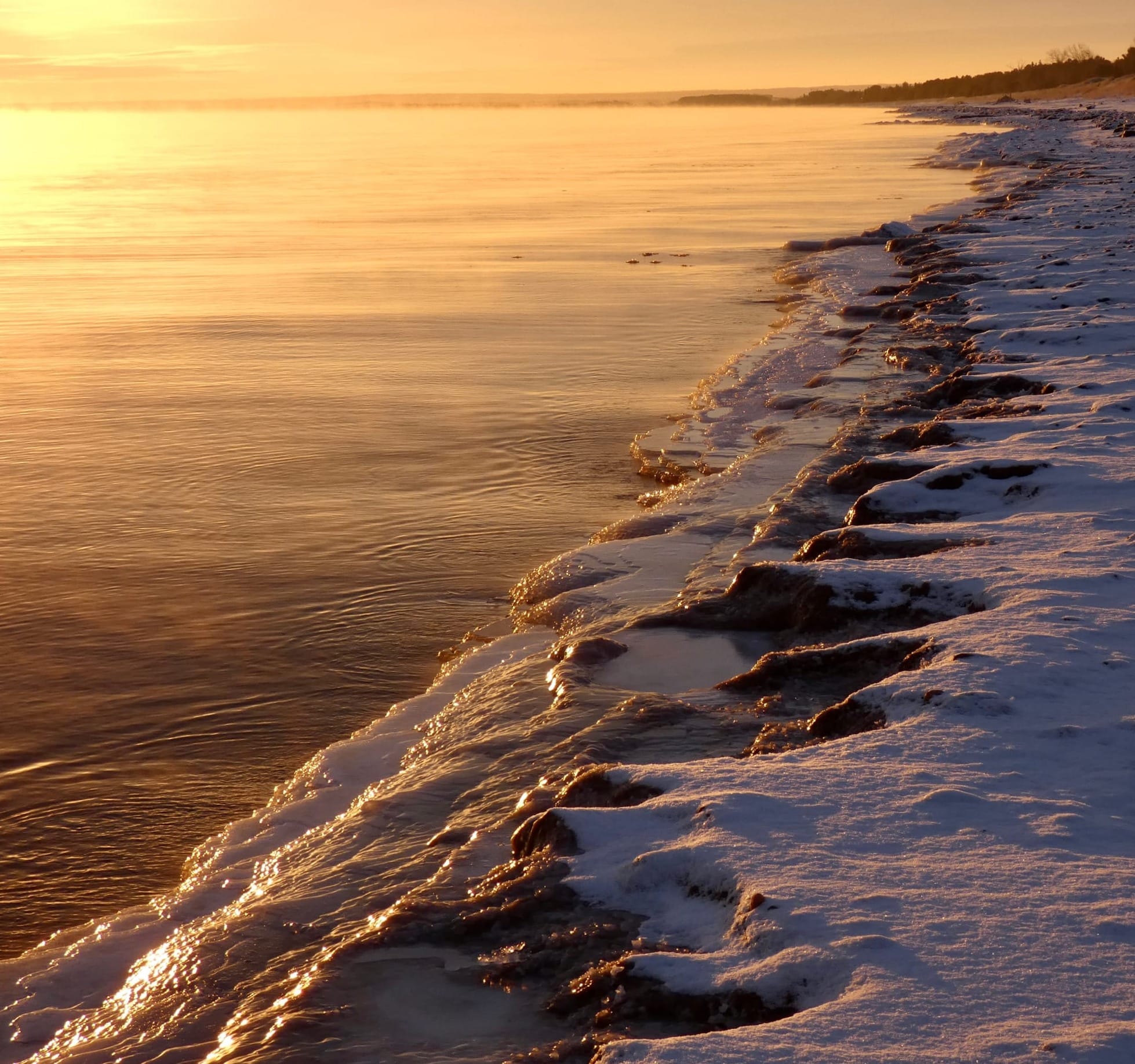 Sunday, Jan 25: Vine Practice Session Invitation