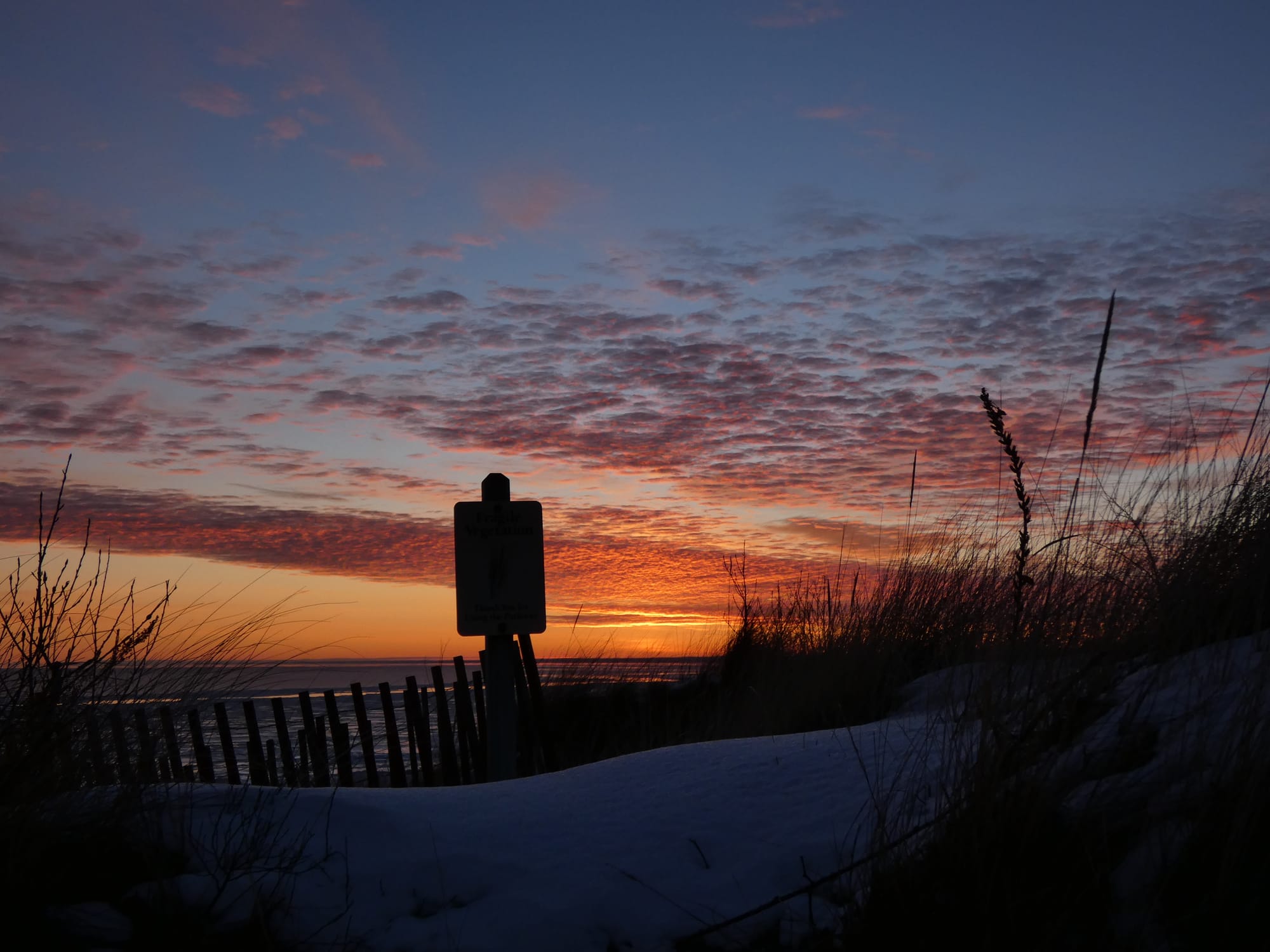 Dogen's Private Notes from the Hokyo Era: The Just-Sit Koan