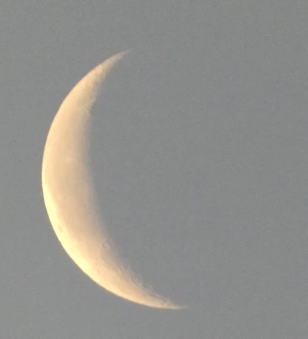 A Soft Pre-Dawn