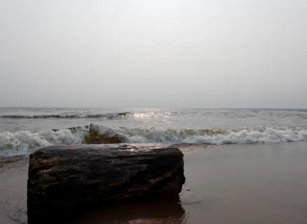 Old Log Series