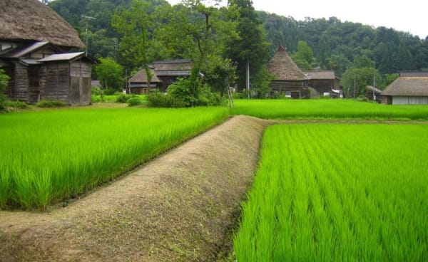 Dizang Planting the Fields: “What Do You Call the Three Worlds?”