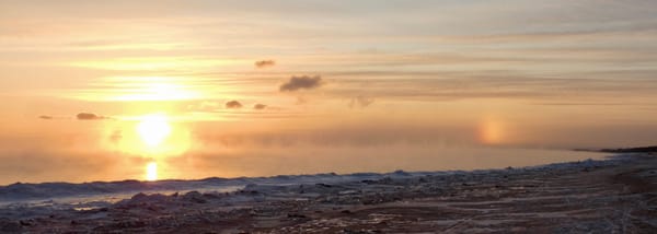 Sunday, Feb 1: Vine Practice Session Invitation