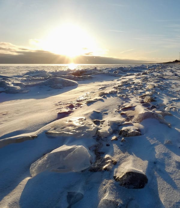 Dogen's Private Notes from the Hokyo Era: What Was Dogen Thinking?