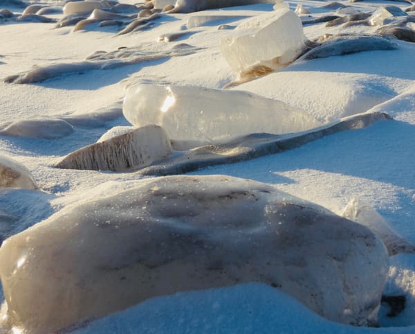 Dogen's Private Notes from the Hokyo Era: Obstructions or Picking and Choosing?