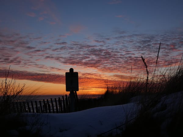 Dogen's Private Notes from the Hokyo Era: The Just-Sit Koan